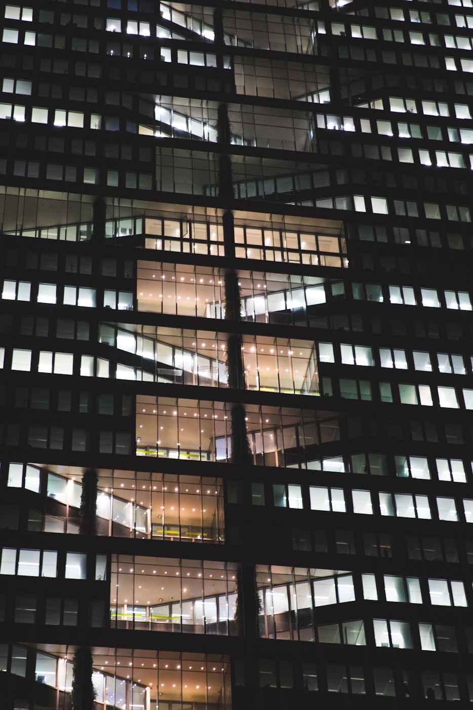 New Energy Reform: A Catalyst for Global Sustainability