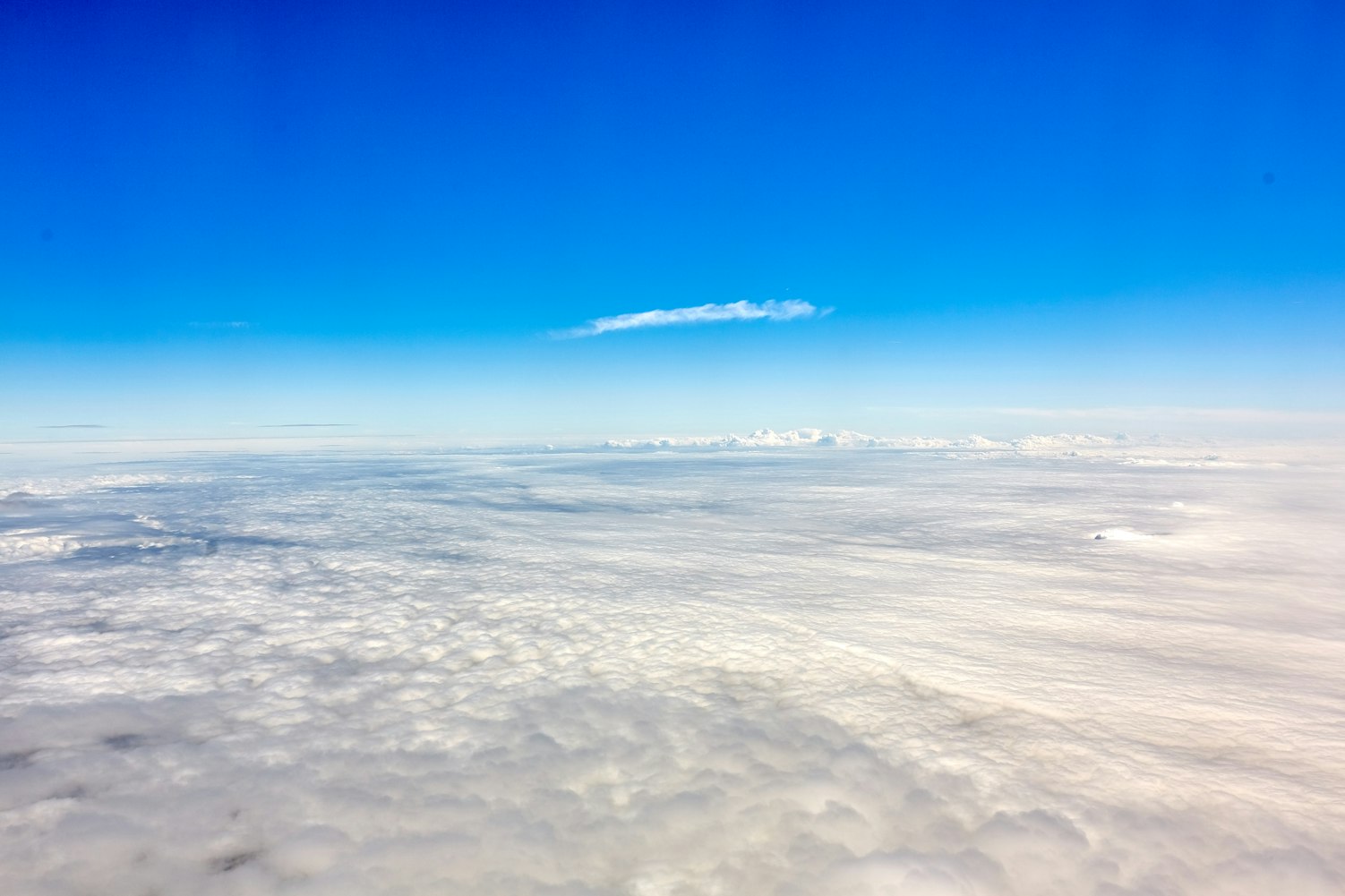 New Energy Reform: A Catalyst for Global Sustainability